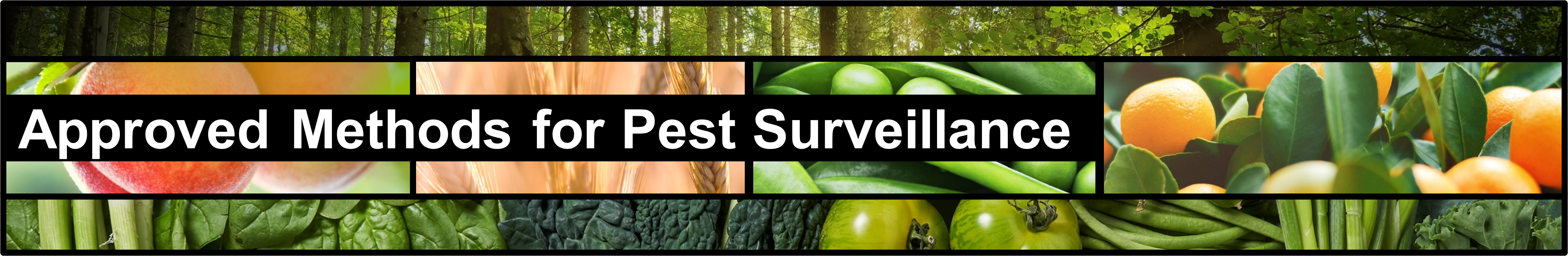 Approvedmethods Banner