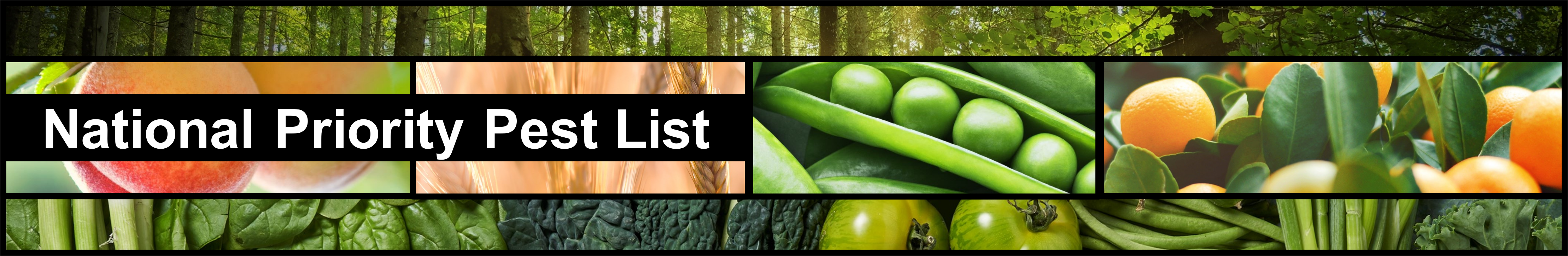Approvedmethods Banner